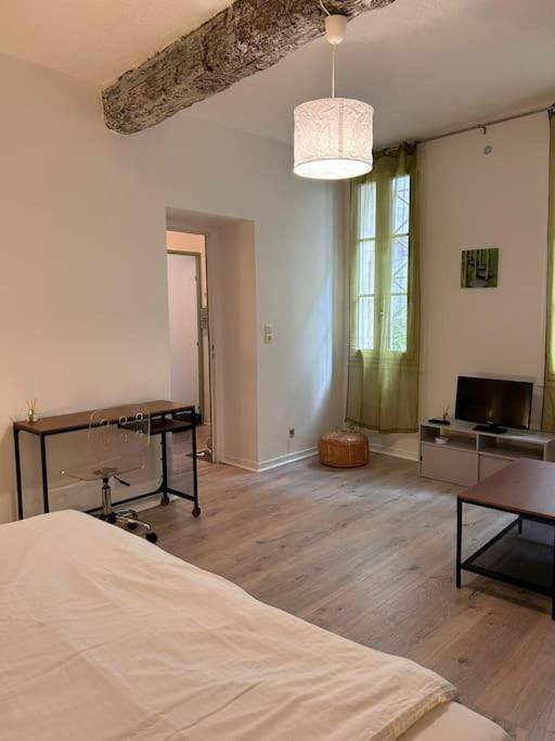 L'Incontournable Apartment Avignon Bagian luar foto